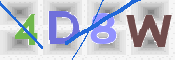 この文字を入力してください