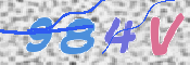 この文字を入力してください