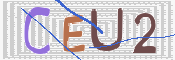 この文字を入力してください