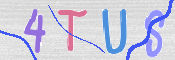 この文字を入力してください