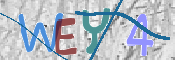 この文字を入力してください