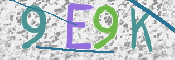 この文字を入力してください