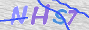 この文字を入力してください