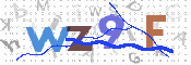 この文字を入力してください