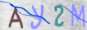 この文字を入力してください