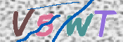 この文字を入力してください