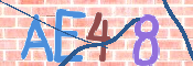 この文字を入力してください