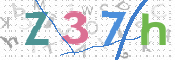この文字を入力してください