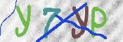この文字を入力してください