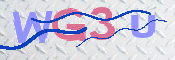 この文字を入力してください