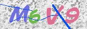 この文字を入力してください