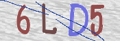 この文字を入力してください