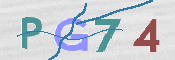 この文字を入力してください