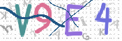 この文字を入力してください