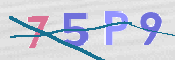 この文字を入力してください
