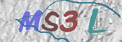 この文字を入力してください