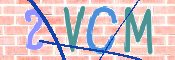 この文字を入力してください