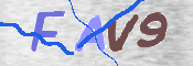 この文字を入力してください