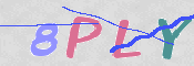 この文字を入力してください