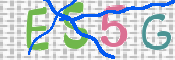 この文字を入力してください
