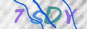 この文字を入力してください
