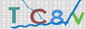 この文字を入力してください