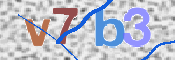 この文字を入力してください