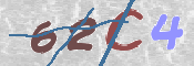 この文字を入力してください