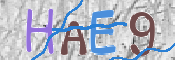 この文字を入力してください
