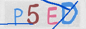 この文字を入力してください