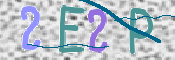 この文字を入力してください