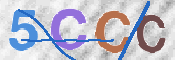 この文字を入力してください