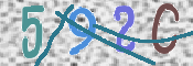 この文字を入力してください
