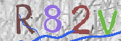 この文字を入力してください