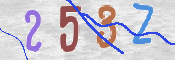 この文字を入力してください