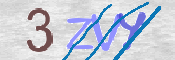 この文字を入力してください