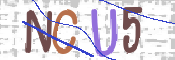 この文字を入力してください