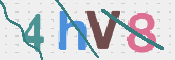 この文字を入力してください