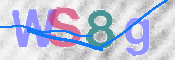 この文字を入力してください
