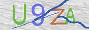 この文字を入力してください