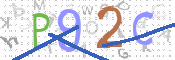 この文字を入力してください