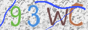 この文字を入力してください