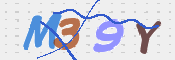 この文字を入力してください