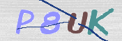 この文字を入力してください