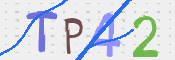 この文字を入力してください