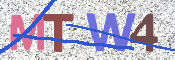 この文字を入力してください