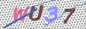 この文字を入力してください