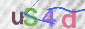 この文字を入力してください