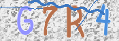 この文字を入力してください