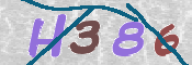 この文字を入力してください